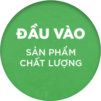Đầu vào